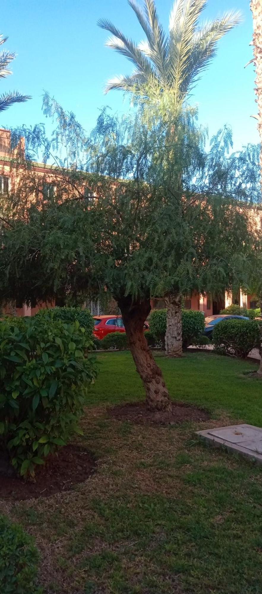 Riad Nour Resorts-Riad Nour Travel มาร์ราเกช ภายนอก รูปภาพ